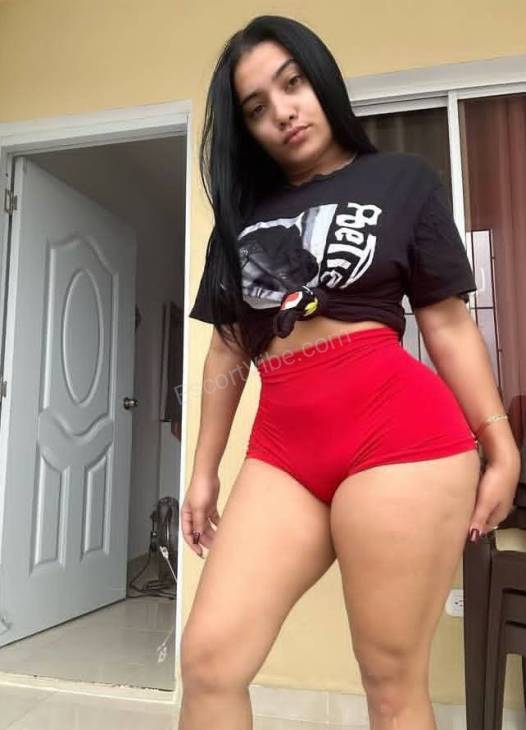  Noega L